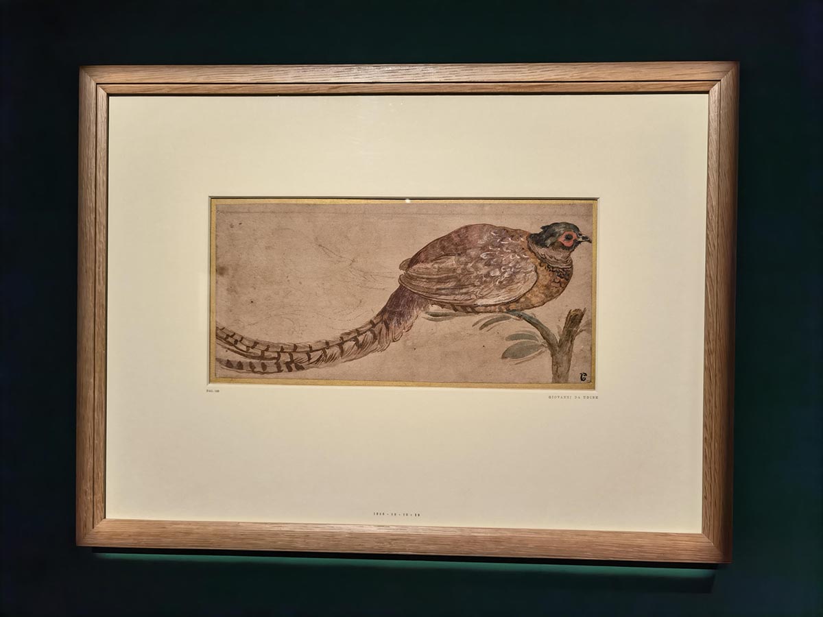 images/art/2021-11-21 意大利文艺复兴纸上绘画/28.jpg